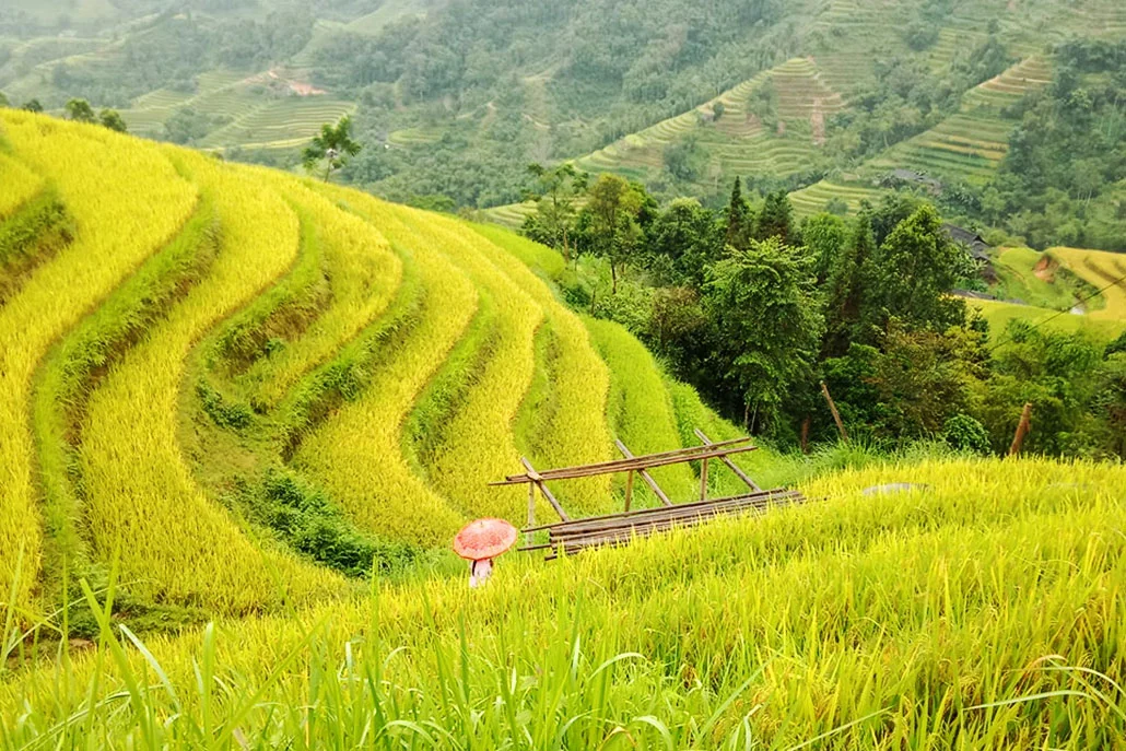 North Vietnam Road Trip 10 Days